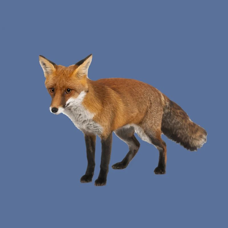 Fuchs