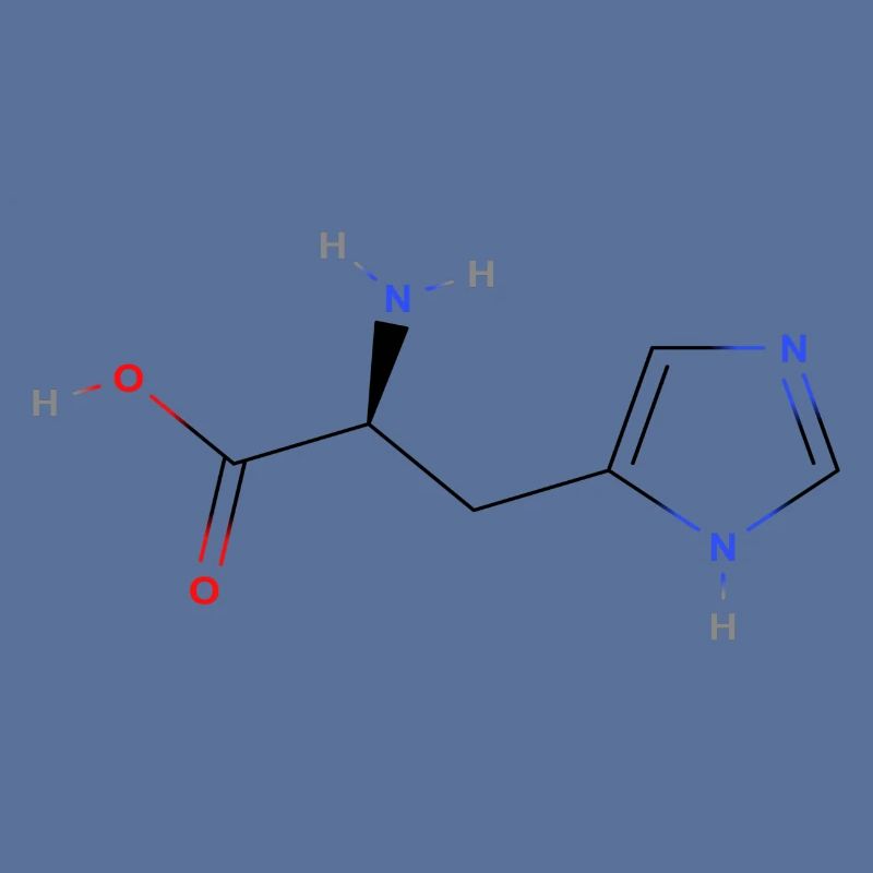 Molécule d’histidine - Formule structurale colorée