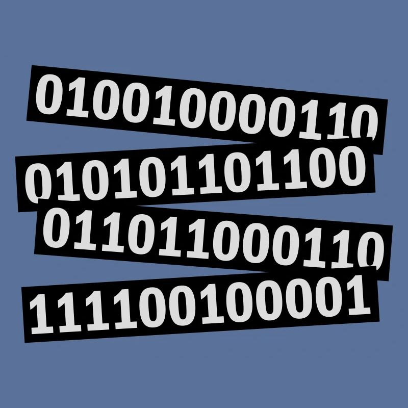 Langage de programme de code binaire