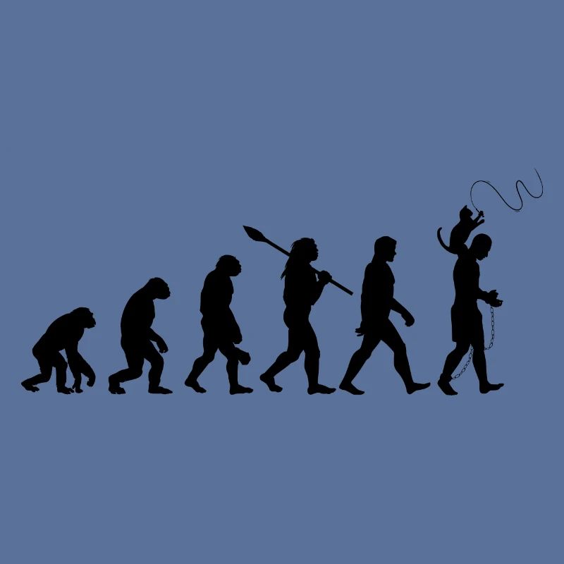 L'évolution du chat