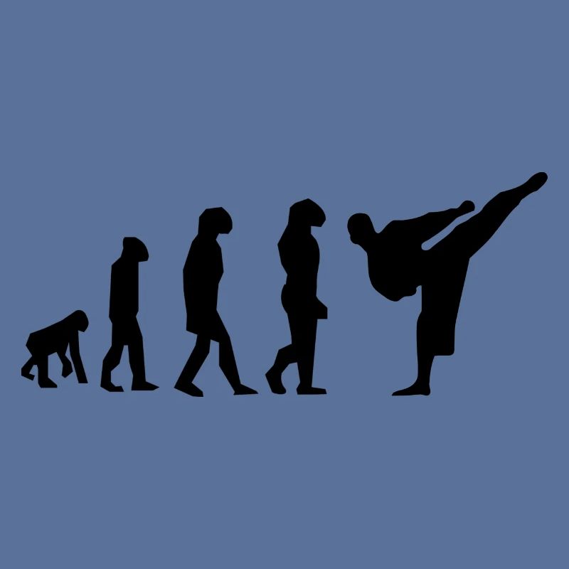 évolution karaté