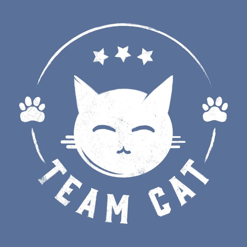 Chat d'équipe - Chat