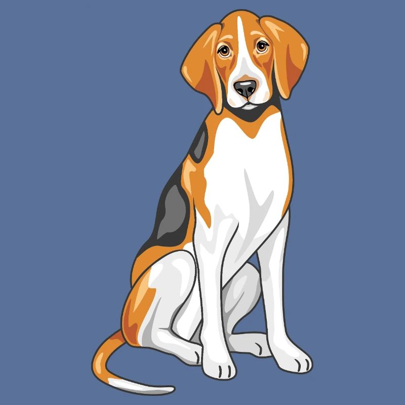 Foxhound assis