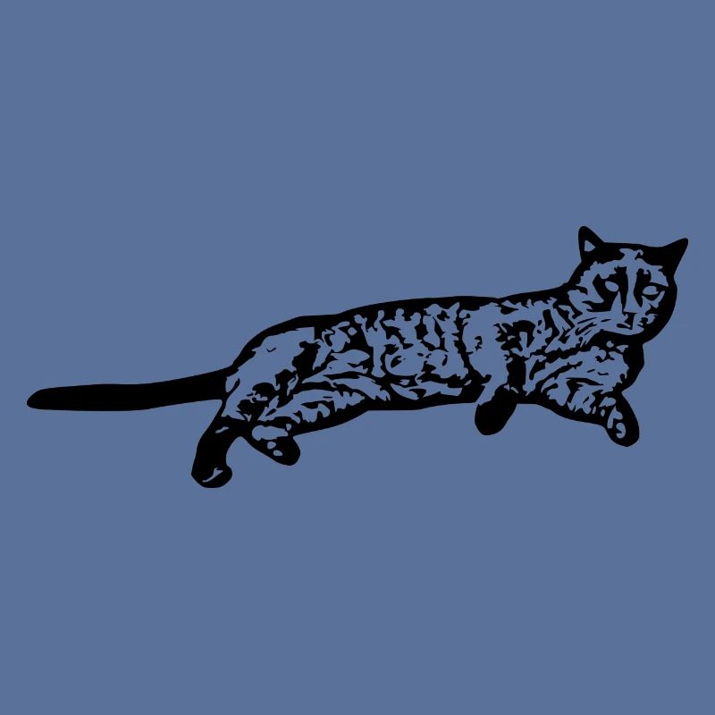 Chat chat noir chaton