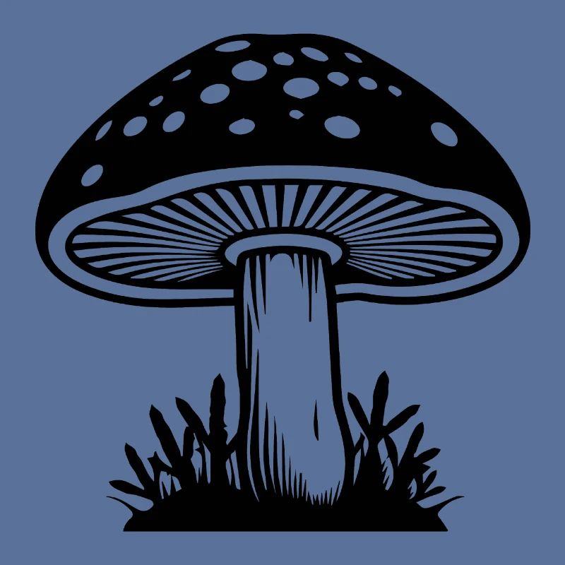 Champignon Cueilleur de champignons Champignons Champignons