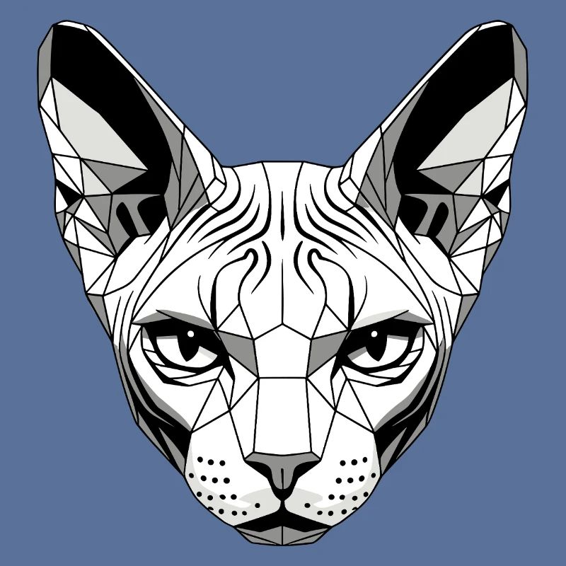 Sphynx Chat Sphynx Chat Chat Canadien Sphinx mignon