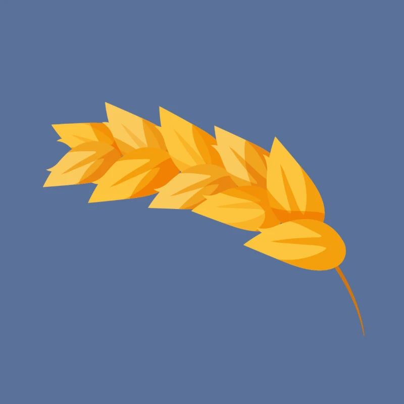 Corn grain corn