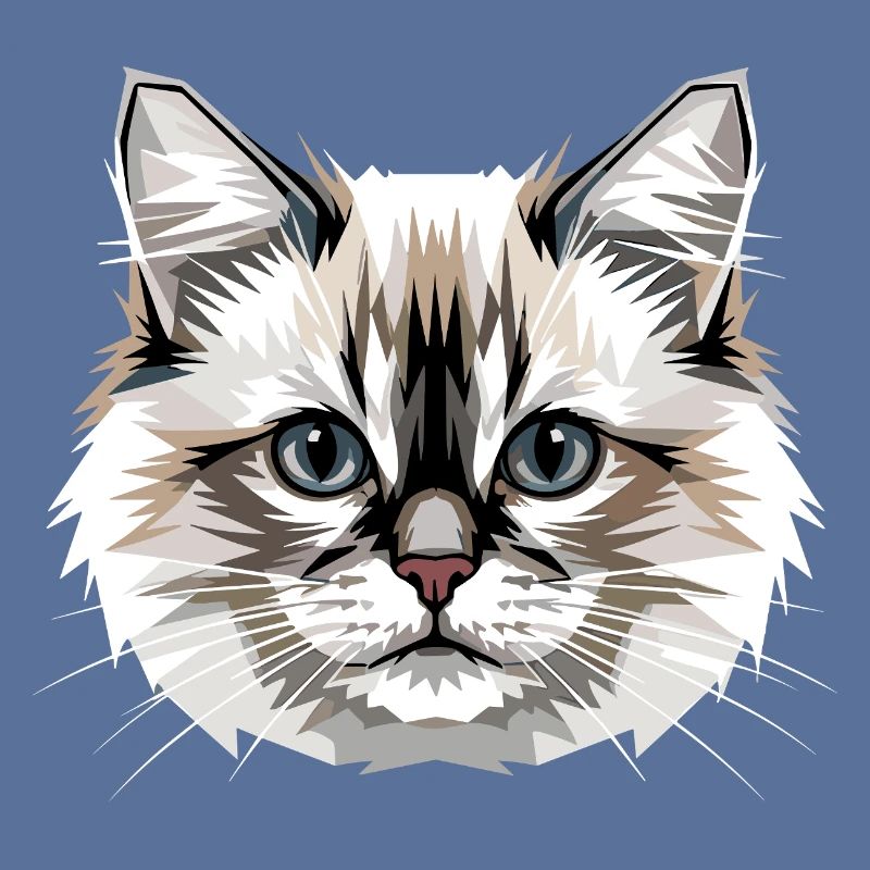 Ragdoll Chat Ragdoll Chat Mignons Chats Ragdoll