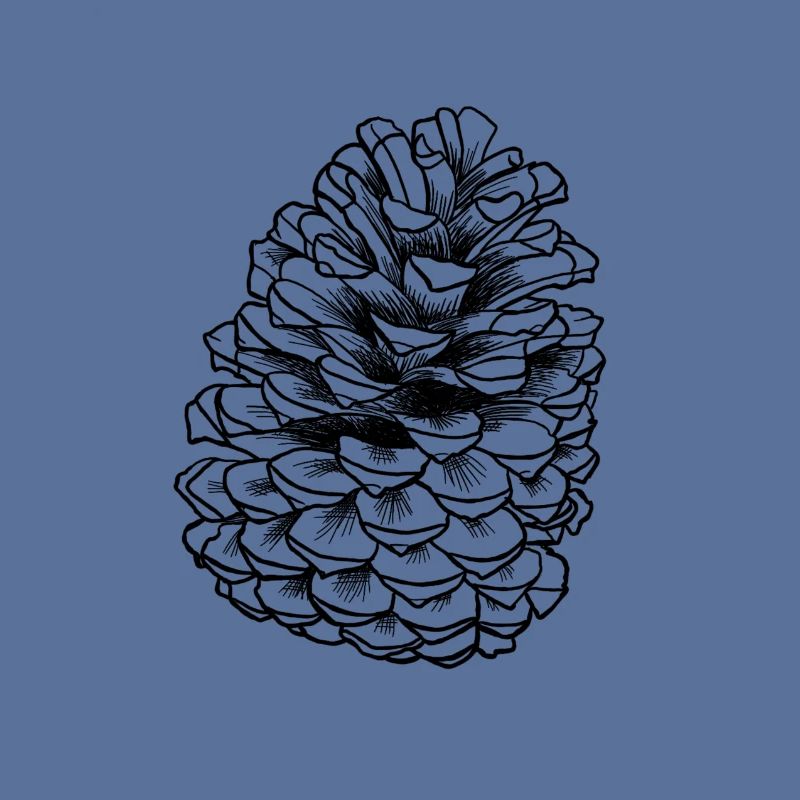 2C8C3018 CB30 4DC0 A786 52DE14A8B01C