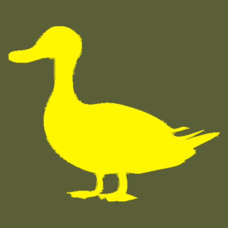 Canard canard