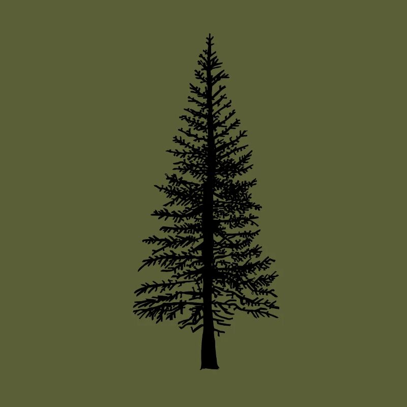 Fir tree Forest Nature Ecology Environment Trees Flora