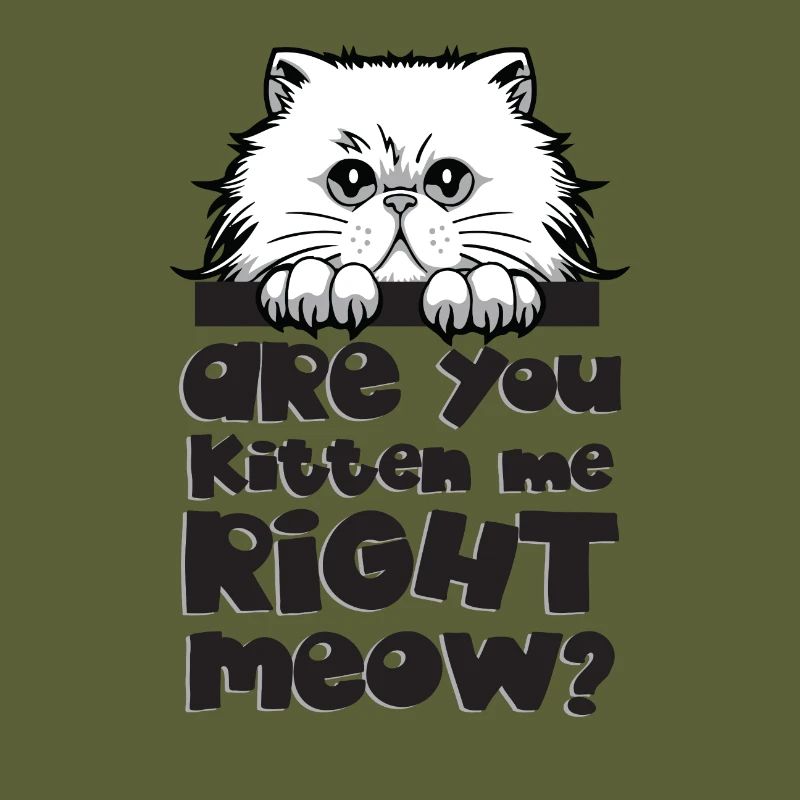 Cadeau chat chat face griffe course chat