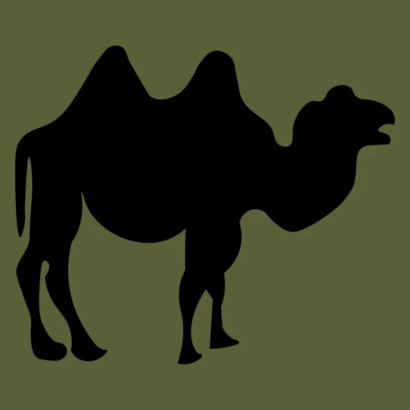 Kamel Design