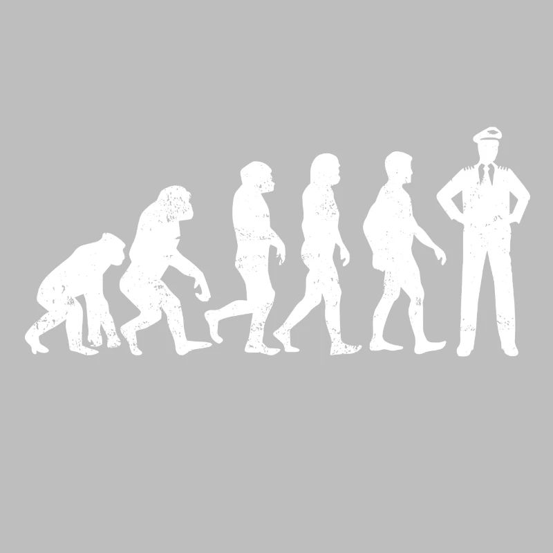 Avion pilote d'évolution