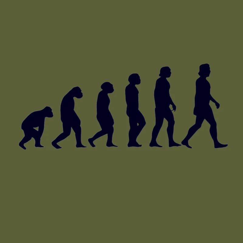 Evolution du singe à l'homme