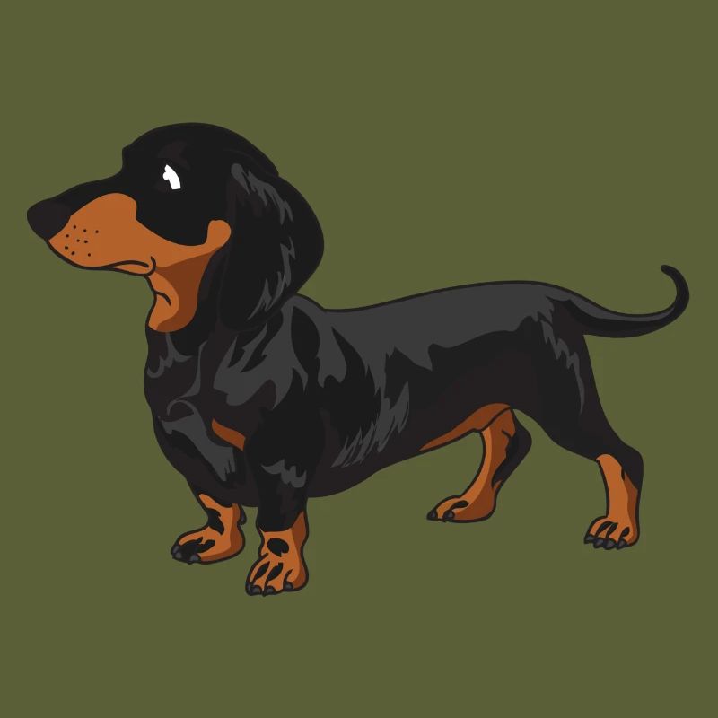 Dachshund