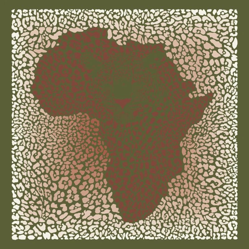 Leopard seamless pattern vector illustration background with Africa map