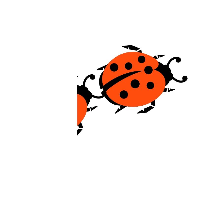 ladybug marienkaefer