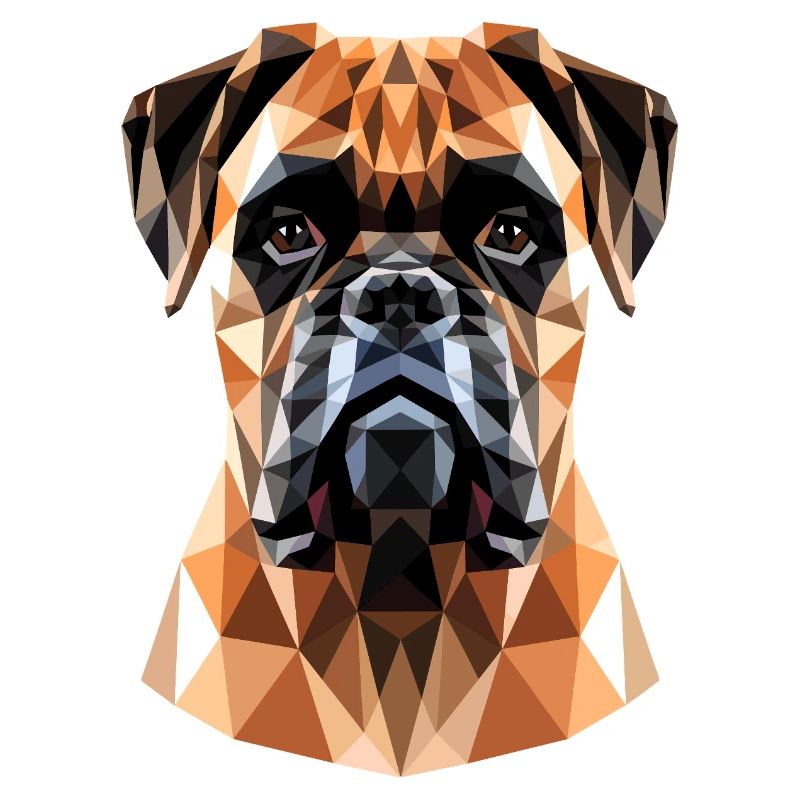 Deutscher Boxer Hunde Boxerverein German Boxer