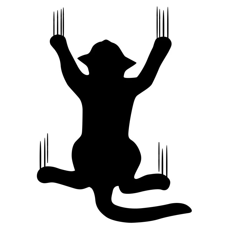 Scratchy cat scratching kitty cat funny animals
