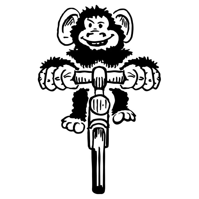 Singe drôle à vélo
