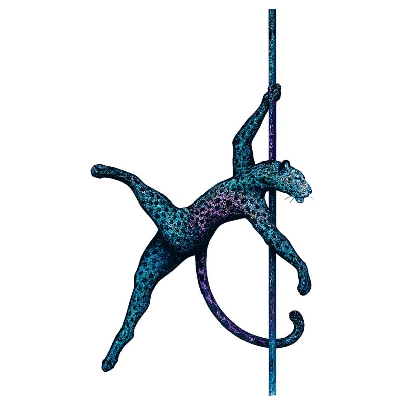 Pole Dance Leopardin Poledancerin Stange Geschenk