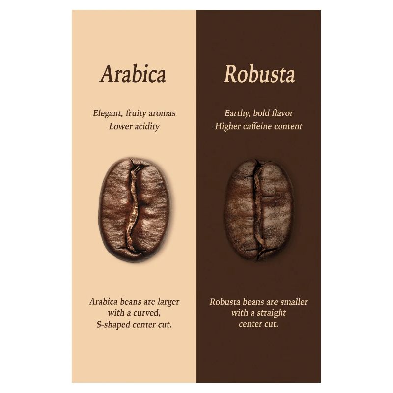Affiche du guide du café Arabica vs Robusta