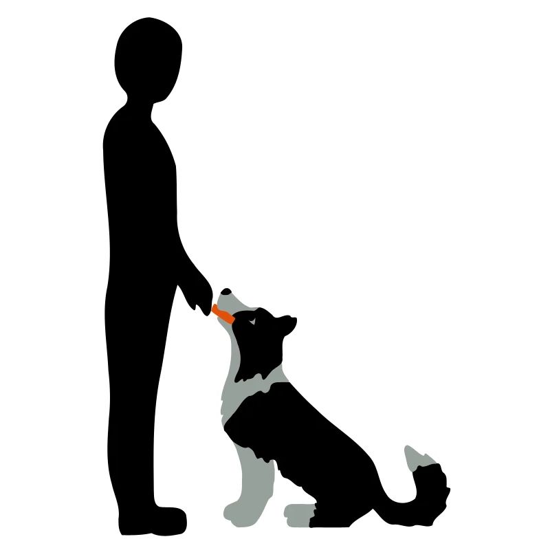 Obedience 3