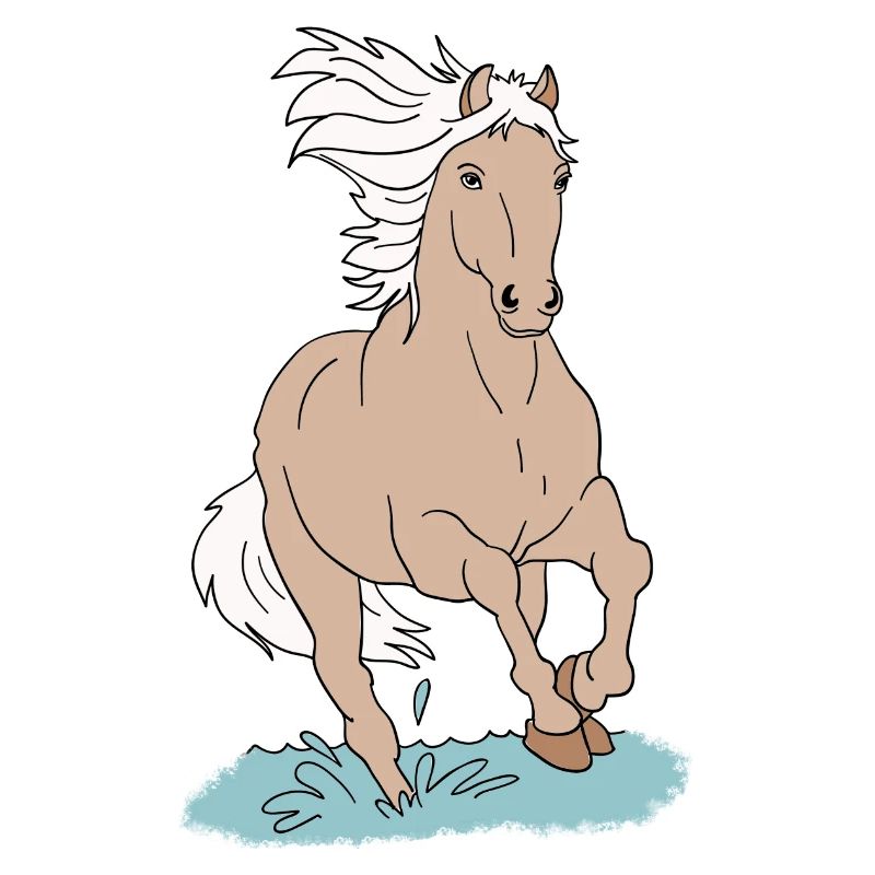 Pferd Pferde