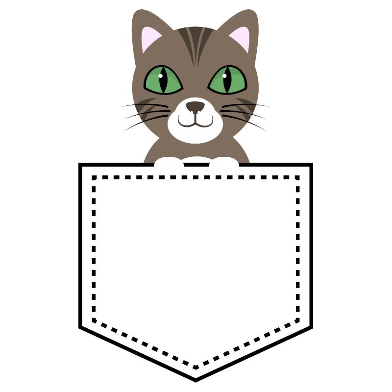 Taschentier Katze braun getigert