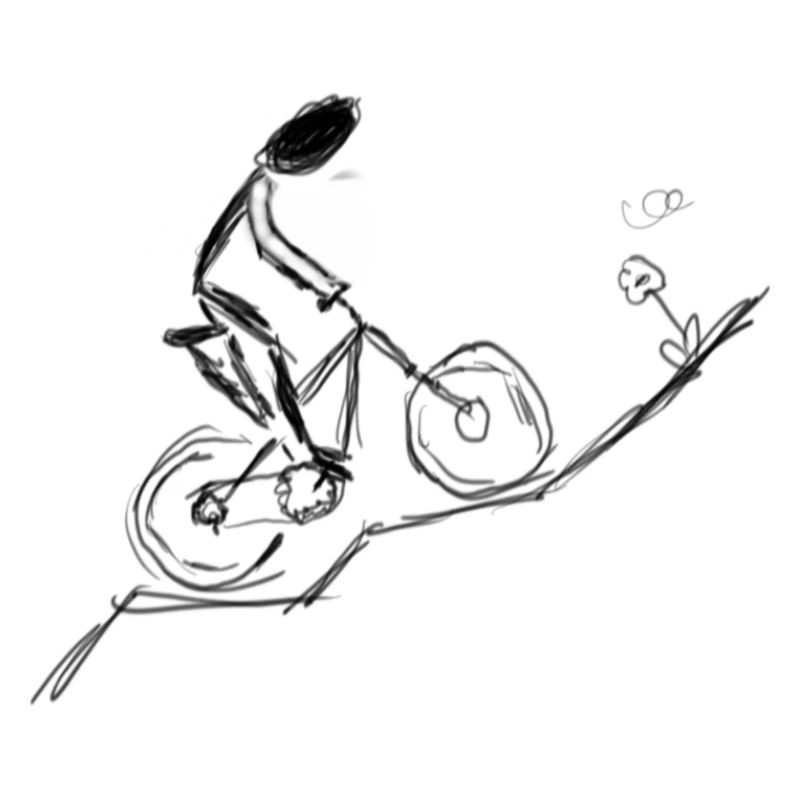 mtb