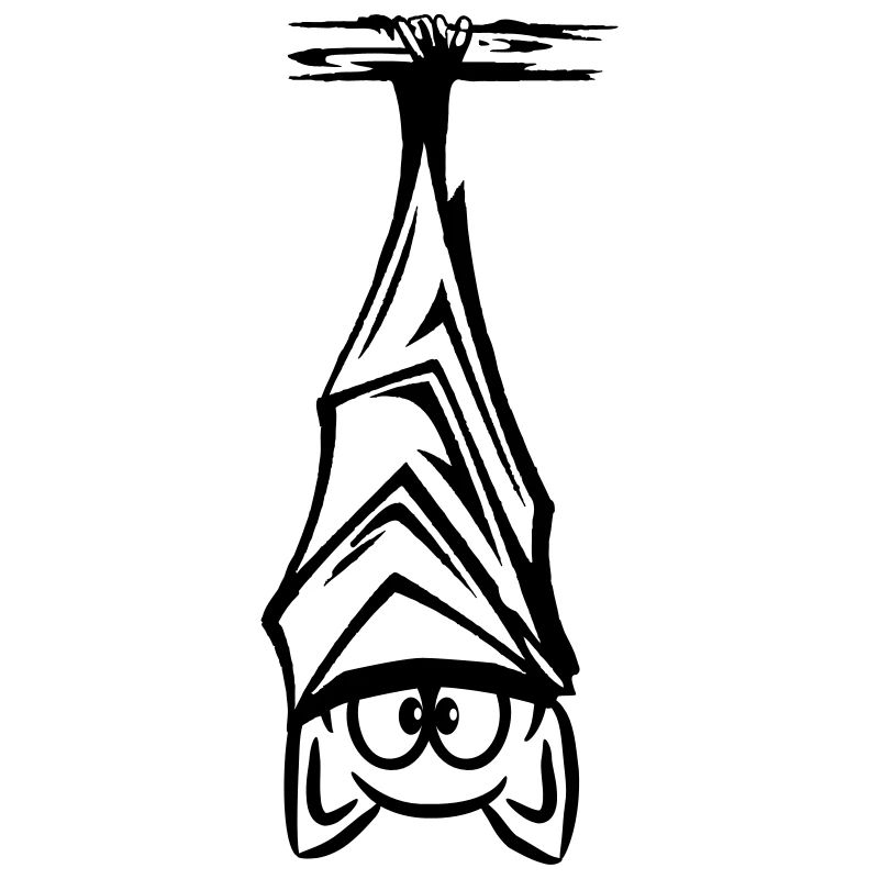 bat hanging