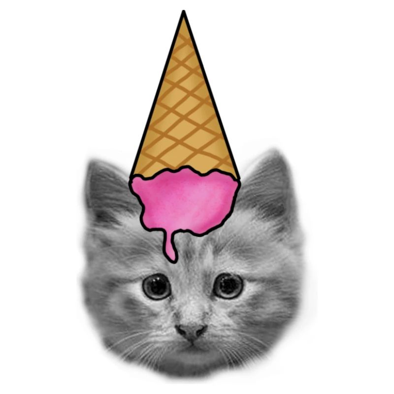 Katze mit Eiscreme als Hut
