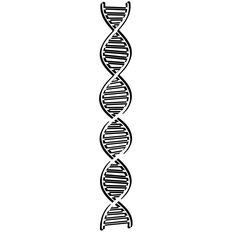 research dna dns genome gene science knowledge c
