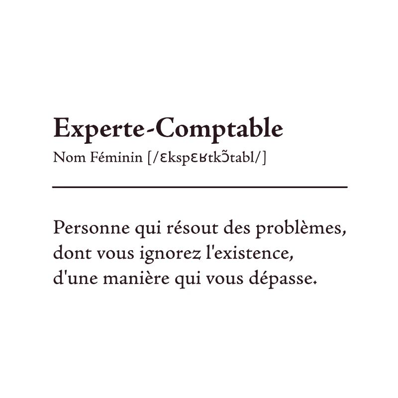 Experte Comptable Definition