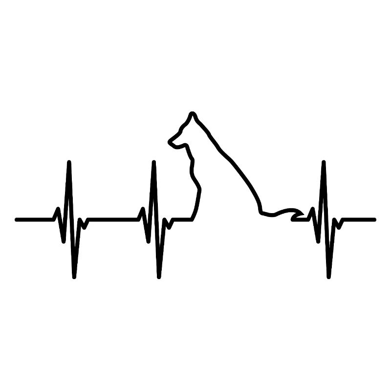 Hunde EKG Herschlag