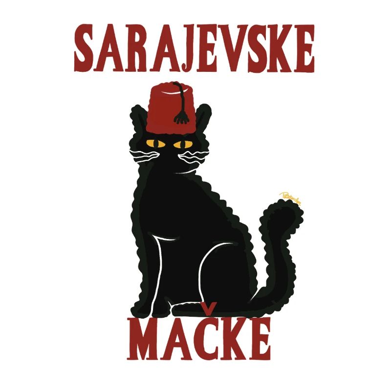 Chat Sarajevo Fez