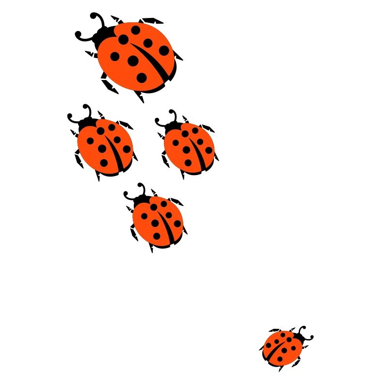 ladybug marienkaefer