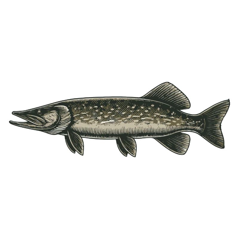 Pike