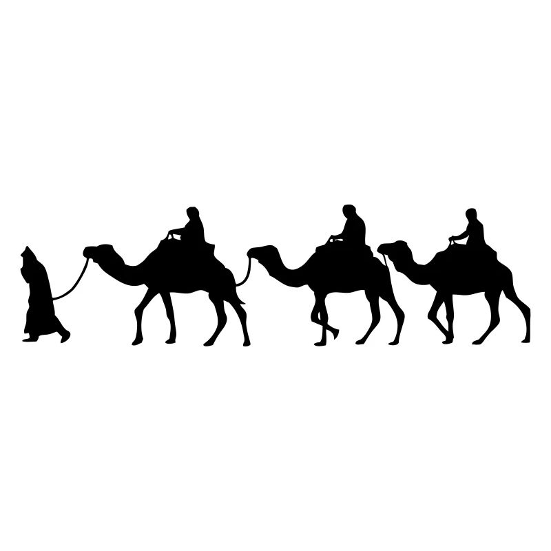 Camel - Dromedar - Kamel - Karawane