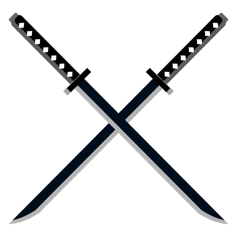 Ninja Samurai épée Ninjutsu