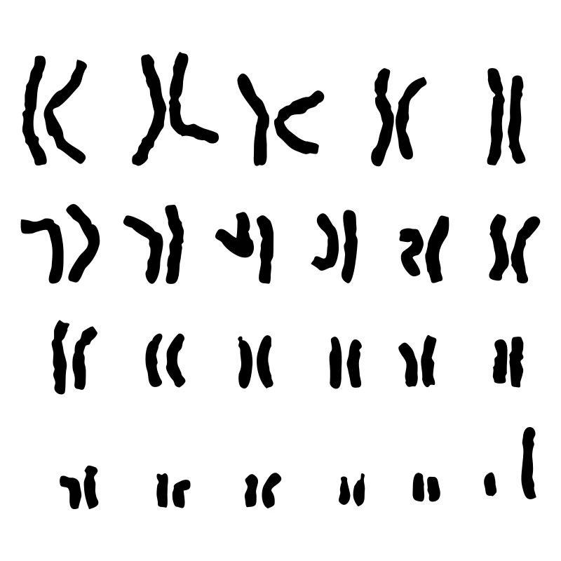 Chromosom xy Nerd-Shirt