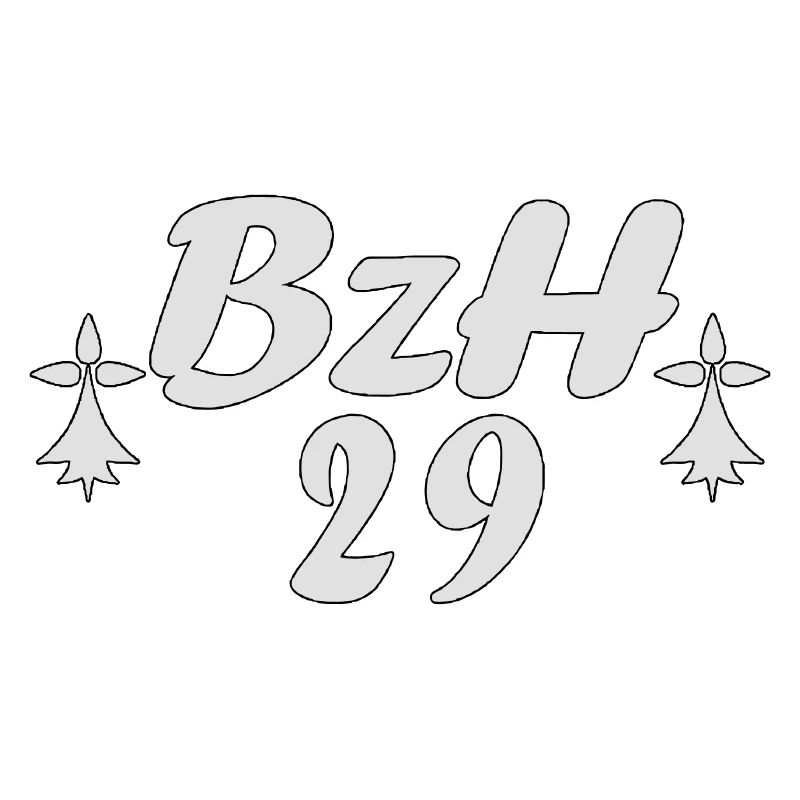 29 Bretagne BZH 2
