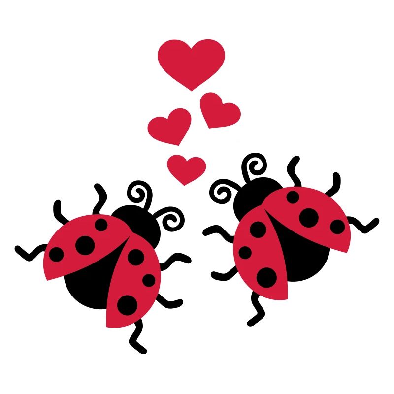 Ladybug