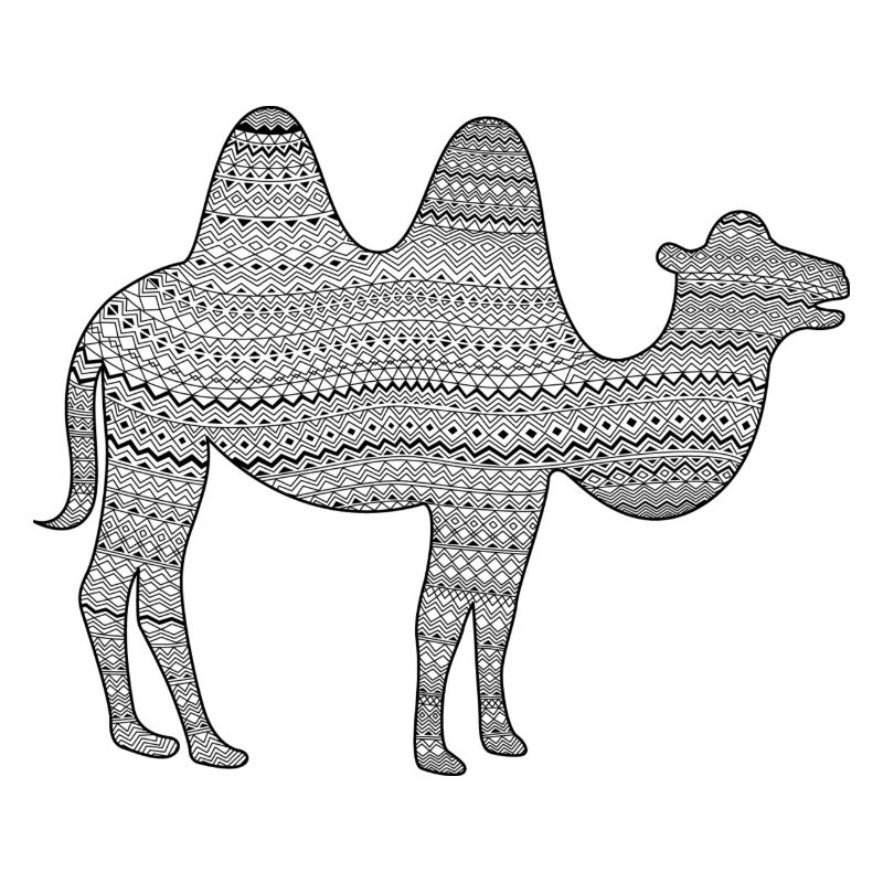 kamel