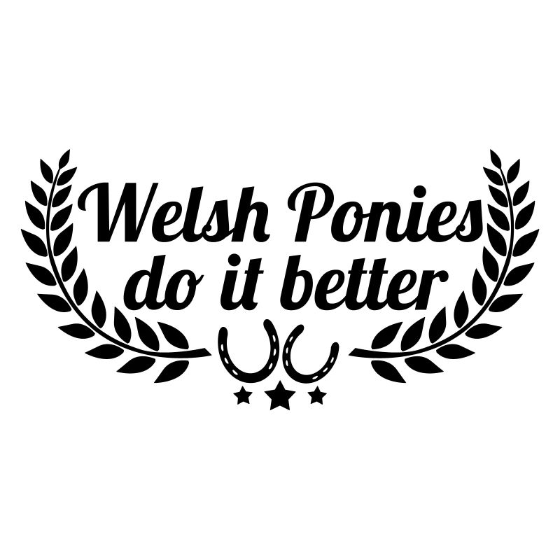 Welsh Ponies