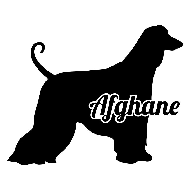 Afghanischer Windhund