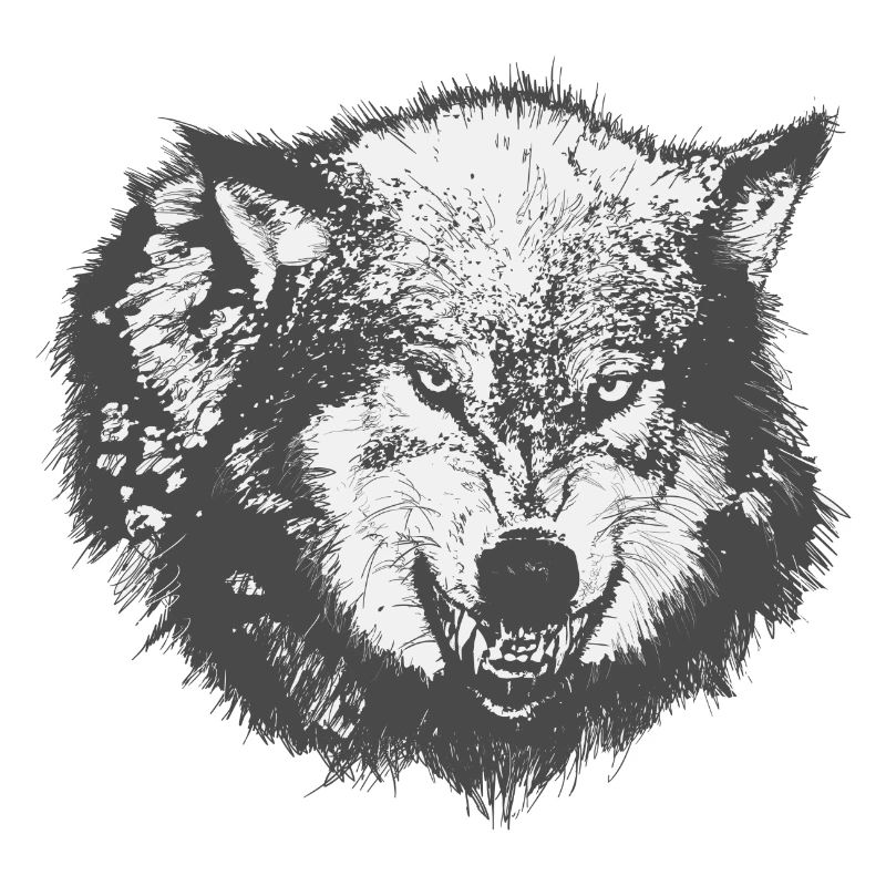 wolf