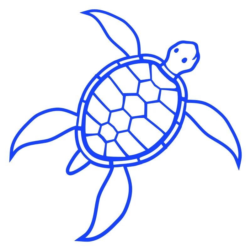 Turtle Turtle Shell Icon Logo Cool