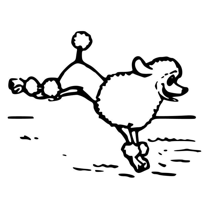 A poodle